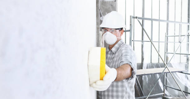 Best Mold Removal for HVAC Installations  in Holmes Beach, FL