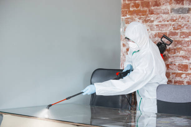 Best Residential Mold Inspection & Testing  in Holmes Beach, FL